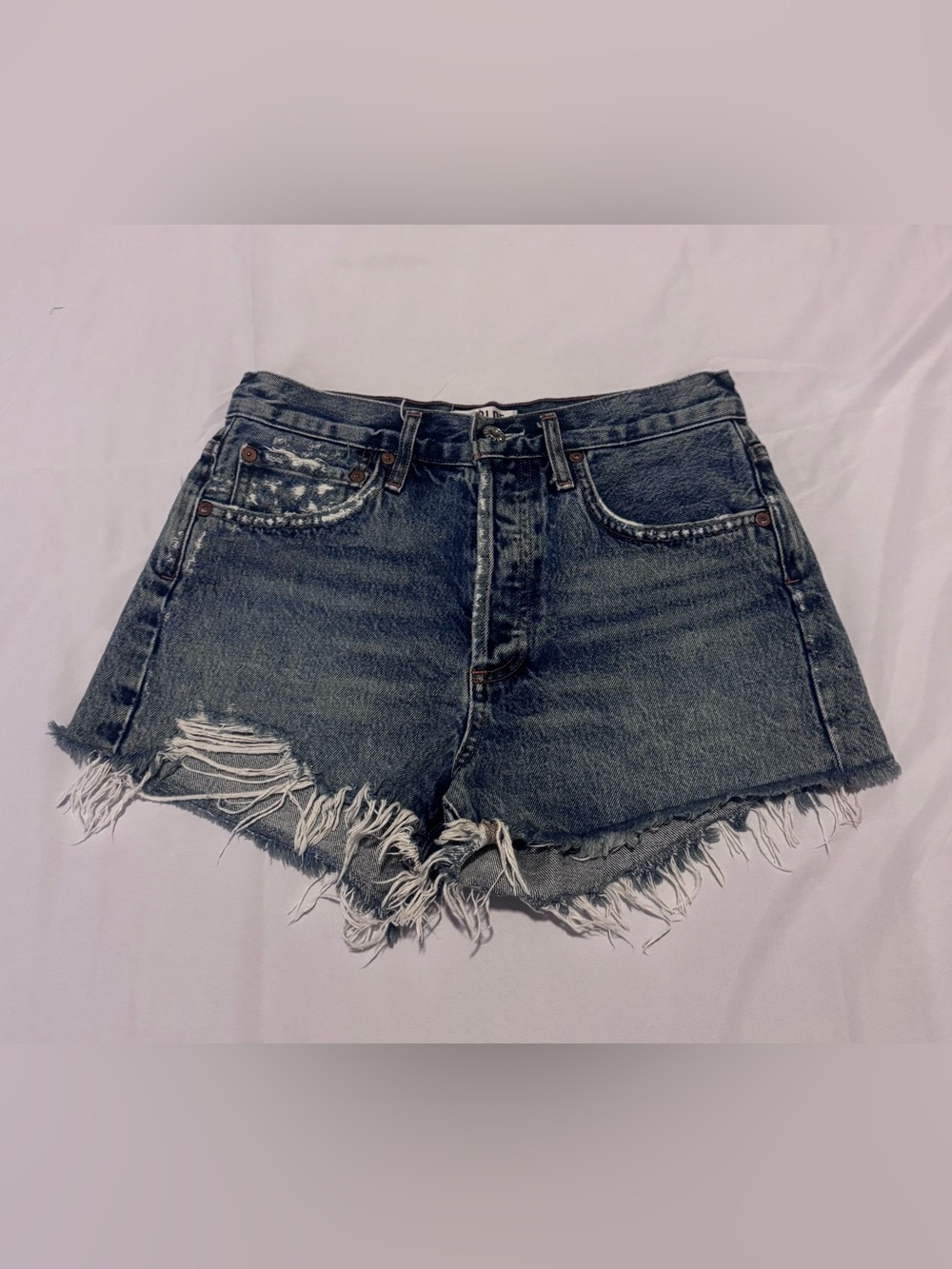 AGOLDE Parker Vintage Cut Off Jean Shorts Swapmeet Size 25